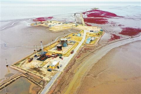 金海采油厂拆除采油设施，正在有计划地退出保护区。.jpg