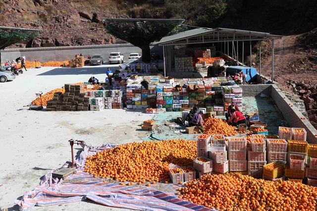 东方物探扶贫 果品市场劈山而建.jpg