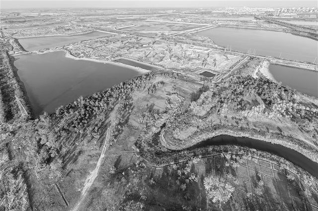 杨军 王翔 王东华e.jpg