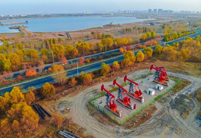 1733124281512903.jpg 图为大庆油田三次采油开发区块生产井场。摄影:马克.jpg