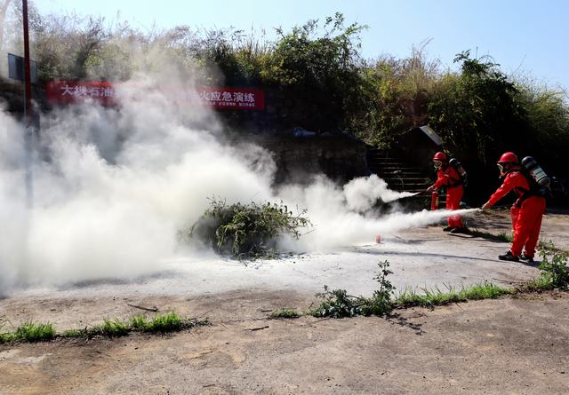 企地联动开展防火应急演练筑牢森林安全图一.jpg