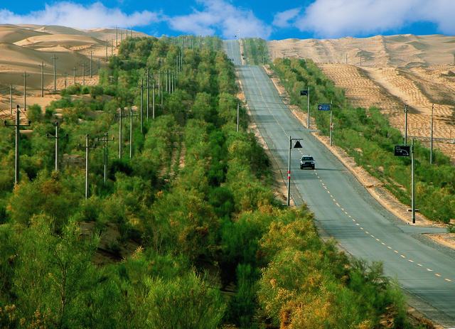 1759046560693991.jpg 塔里木沙漠公路防护林.jpg