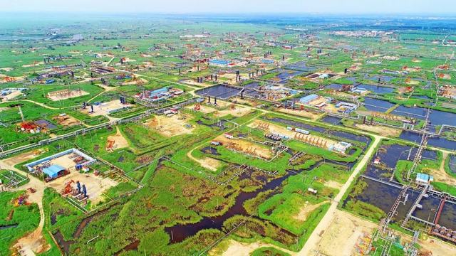 位于绕阳河畔的辽河油田杜84块稠油生产现场。.jpg
