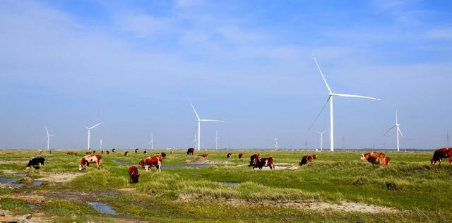 1763972295431894.jpg 吉林油田1.jpg