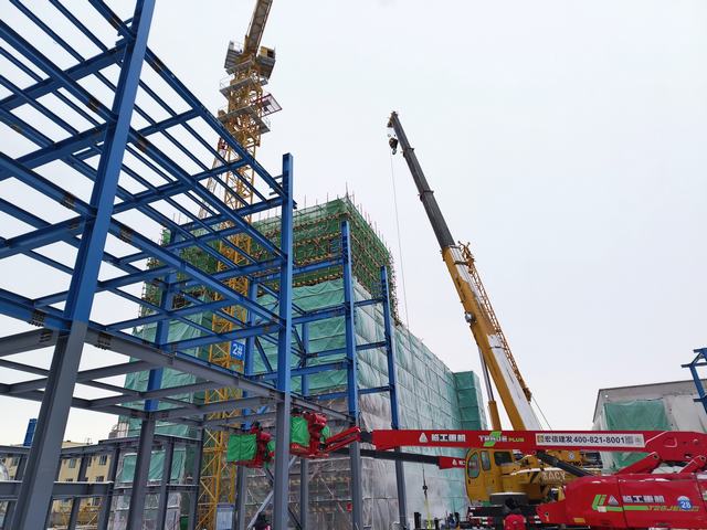 1769396043712173.jpg 5433da2ba959cae45306f8d447e71c14_origin(1).jpg