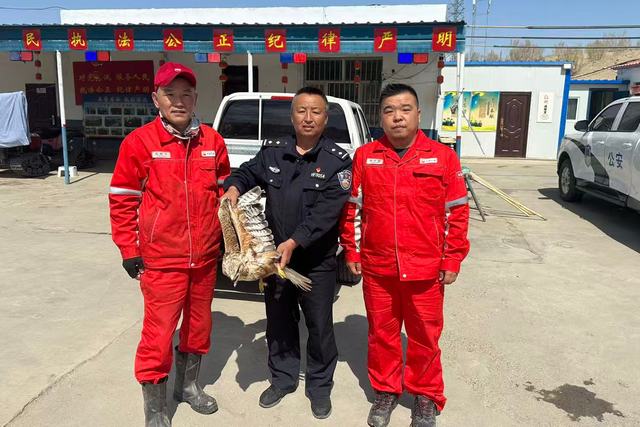 明川摄，图说：4月17日，石西油田作业区员工在巡检途中，成功救助一只受伤的国家二级保护动物老鹰。图为作业区员工与石西管护站人员进行交接。.jpg